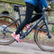 LeMond Prolog