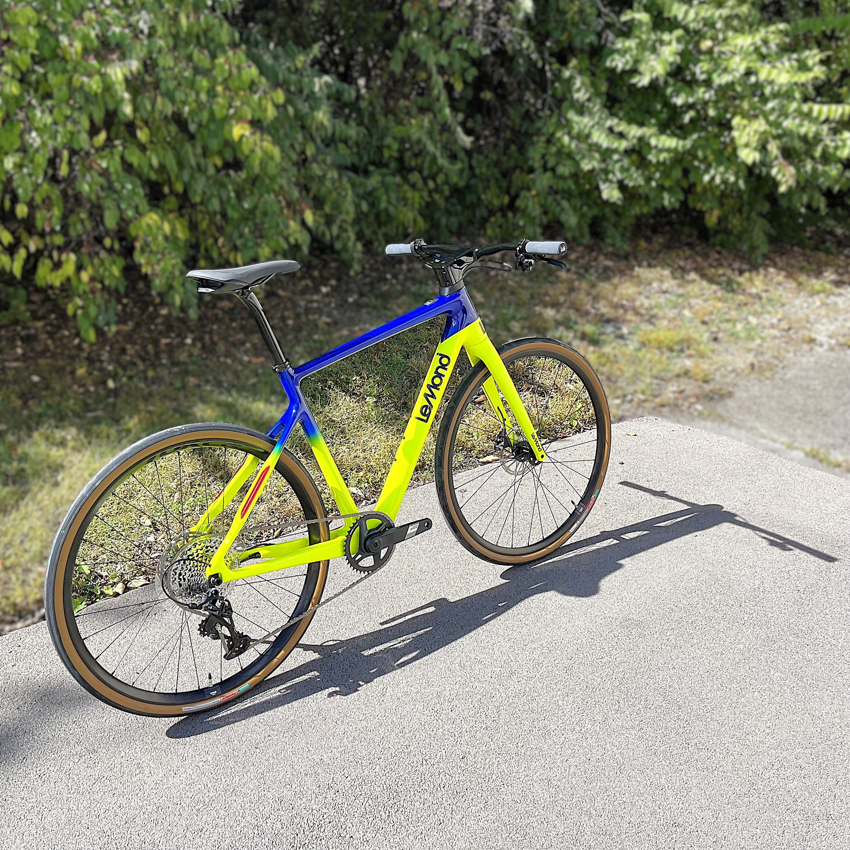 MedLimitedEditionAboveView