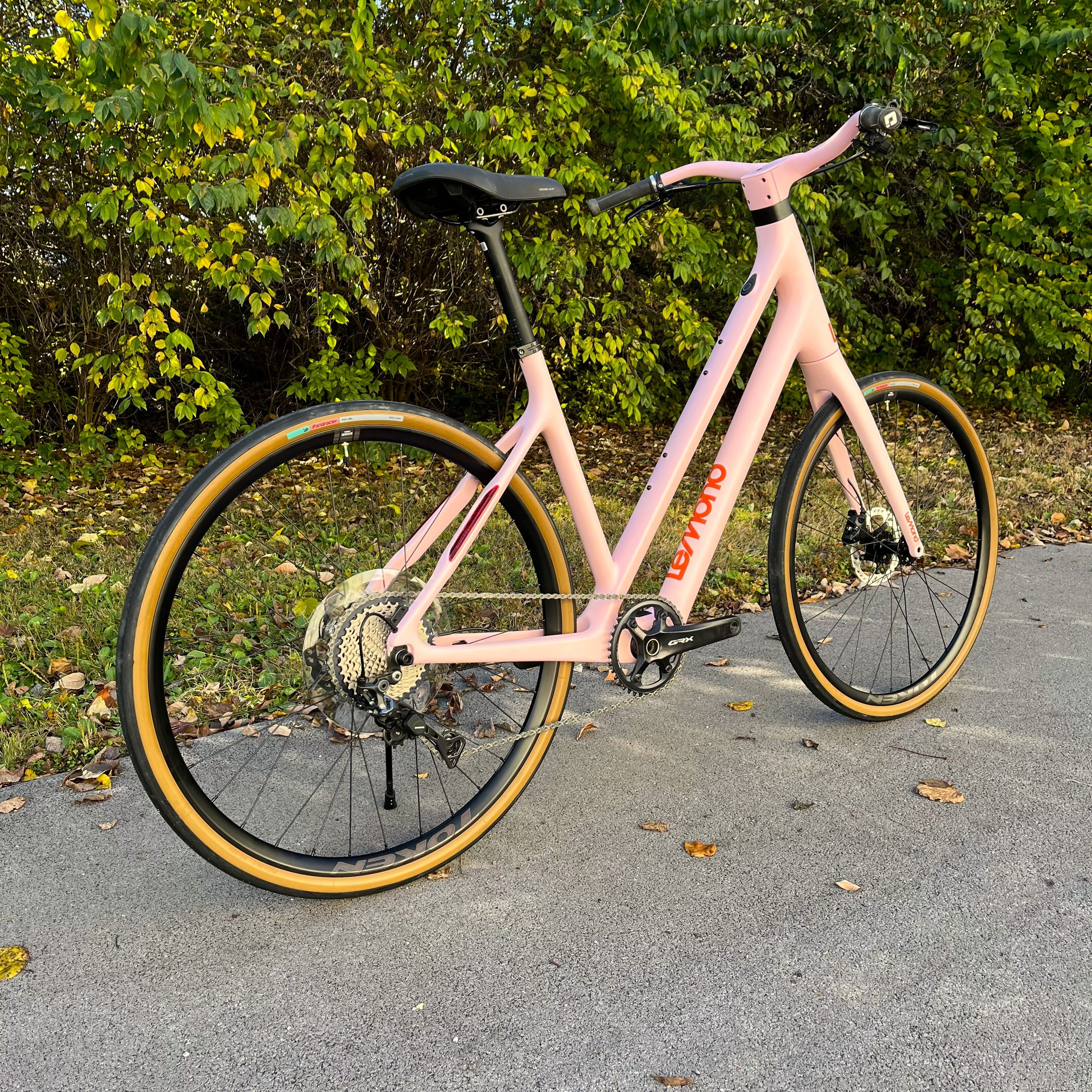 Refurbished medium rosa Dutch back view