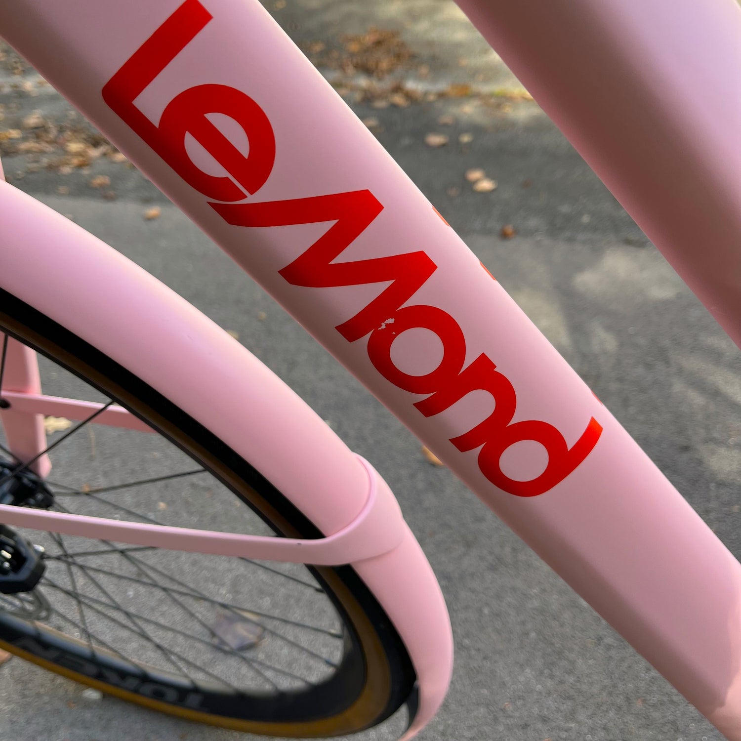 Demo - Medium Rosa Dutch with SRAM Electronic Shifting