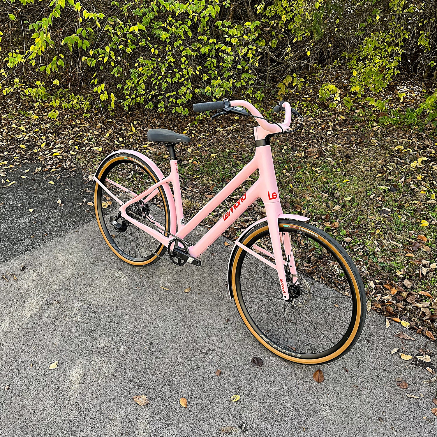 Demo - Medium Rosa Dutch with SRAM Electronic Shifting