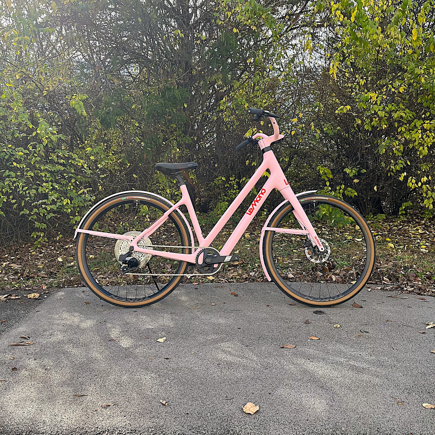 Demo - Medium Rosa Dutch with SRAM Electronic Shifting