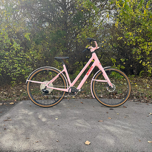 Demo - Medium Rosa Dutch with SRAM Electronic Shifting