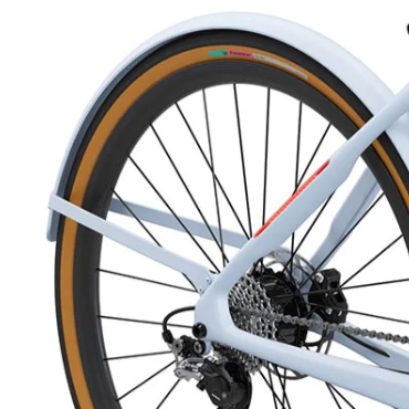 LeMond Carbon Fiber Fenders